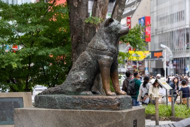 Tokyo, Japonya - 12 Mayıs 2024: Shibuya, Tokyo 'daki Hachiko Heykeli. Japonya 'nın en sadık köpeğini onurlandırmak için.