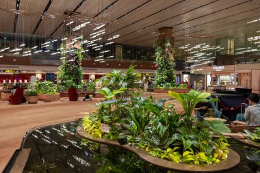 Singapur - 5 Haziran 2024: Singapur 'da Changi Havalimanı, havaalanı içi, yeşillik ve gölet kurulumu