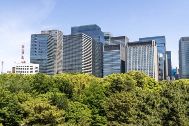 Tokyo, Japonya - 11 Mayıs 2024: Doğu Bahçeleri İmparatorluk Sarayı 'nın arka planında modern şehir manzaralı yeşil ağaçlar. Tokyo mu? Tokyo Japonya 'da halka açık bir park.