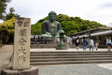 Kamakura, Japonya- 14 Mayıs 2024: Kamakura, Japonya 'daki Kamakura tapınağındaki Kamakura Daibutsu heykeli