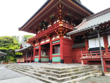 Kamakura, Japonya - 14 Mayıs 2024: Japonya, Kamakura 'daki Tsurugaoka Hachimangu Tapınağı manzarası. Bu güzel tapınak 800 yıldan fazladır var.