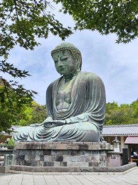 Kamakura, Japonya- 14 Mayıs 2024: Kamakura, Japonya 'daki Kamakura tapınağındaki Kamakura Daibutsu heykeli
