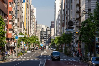 Tokyo, Japonya - 17 Mayıs 2024: Shinjuku, Tokyo sokak manzaralı. Shinjuku, Tokyo 'nun geniş bir yelpazesi olan büyük bir mahallesidir.
