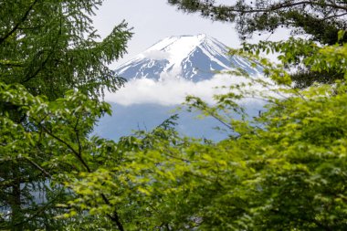 Baharda Japonya 'da Fuji Dağı ve Shimoyoshida' nın manzarası.