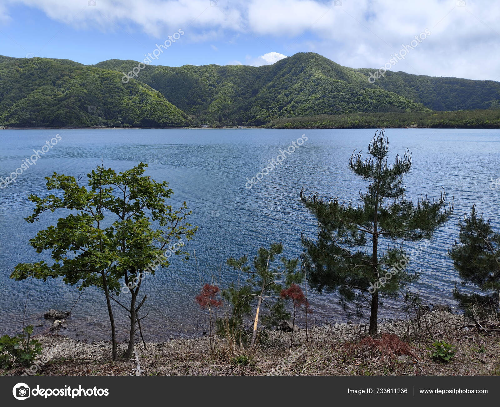 Kawaguchiko Japan May 2024 Lake Saiko Kawaguchiko Japan Lake Saiko