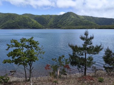 Kawaguchiko, Japonya 16 Mayıs 2024 Kawaguchiko, Japonya 'da Saiko Gölü. Saiko Gölü, komşu Kawaguchiko Gölü 'nden çok daha küçük ve az gelişmiştir.