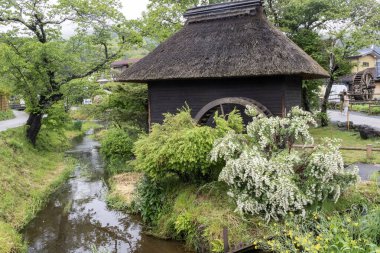 Kawaguchiko, Japonya- 16 Mayıs 2024: Oshino Hakkai, Fuji Beş Göl bölgesinde, Kawaguchiko Gölü ile Yamanakako Gölü arasında yer alan küçük bir köy..