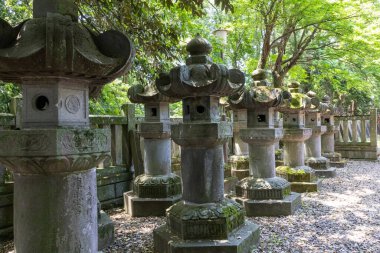 Kawagoe, Japonya-17 Mayıs 2024: Kawagoe, Japonya 'daki Senba Toshogu' nun içindeki taş fenerler. Senba Toshogu Japonya 'daki üç büyük Toshogu' dan biridir. 