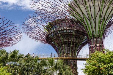 Singapur-29 Haziran 2024: Güneşli bir günde Marina Bay Sands Oteli yakınlarındaki Singapur Körfezi yakınlarındaki Gardens 'taki Supertree Grove ve ve Skyway