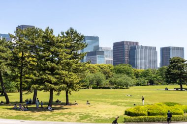 Tokyo, Japonya - 11 Mayıs 2024: Doğu Bahçeleri İmparatorluk Sarayı 'nın arka planında modern şehir manzaralı yeşil ağaçlar. Tokyo mu? Tokyo Japonya 'da halka açık bir park.