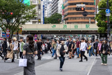 Tokyo, Japonya - 12 Mayıs 2024: İnsanlar Shibuya, Tokyo 'da işlek kavşağı geçiyor. Burası dünyanın en işlek kavşaklarından biri..