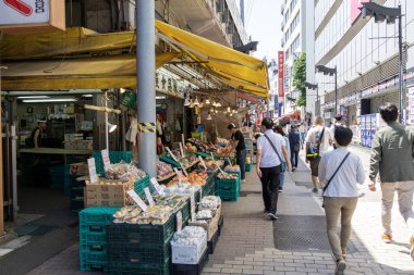 Tokyo, Japonya - 18 Mayıs 2024: Tokyo 'daki Ueno Bölgesi' nde Ameyoko pazarı. Ameyoko bir zamanlar Amerikan deniz piyadelerinin eğlence bölgesiydi şimdi ise egzotik bir Asya pazarı.