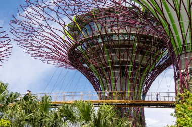 Singapur-29 Haziran 2024: Güneşli bir günde Marina Bay Sands Oteli yakınlarındaki Singapur Körfezi yakınlarındaki Gardens 'taki Supertree Grove ve ve Skyway