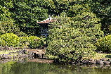 Tokyo, Japonya - 17 Mayıs 2024: Tokyo 'daki Shinjuku Gyoen Ulusal Bahçesi. Kiraz çiçeklerinin tadını çıkarmak için popüler bir park olarak bilinir..