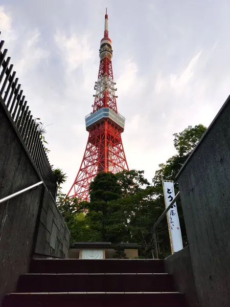 Tokyo, Japonya - 11 Mayıs 2024: Shiba Park civarından Tokyo Kulesi manzarası. Japonya. Bu bir iletişim ve gözlem kulesi.