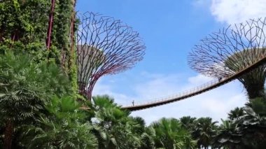 Singapur-29 Haziran 2024: Güneşli bir günde Marina Bay Sands Oteli yakınlarındaki Singapur Körfezi yakınlarındaki Gardens 'taki Supertree Grove ve ve Skyway
