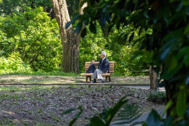 Tokyo, Japonya - 17 Mayıs 2024: Tokyo 'daki Shinjuku Gyoen Ulusal Bahçesi' nde halk dinleniyor. Kiraz çiçeklerinin tadını çıkarmak için popüler bir park olarak bilinir..