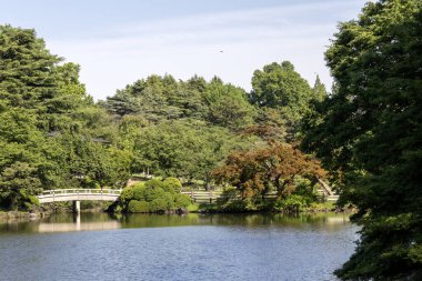 Tokyo, Japonya - 17 Mayıs 2024: Tokyo 'daki Shinjuku Gyoen Ulusal Bahçesi. Kiraz çiçeklerinin tadını çıkarmak için popüler bir park olarak bilinir..