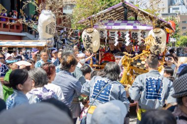 Tokyo, Japonya - 18 Mayıs 2024: Asakusa 'daki Sanja Festivali' nde taşınabilir bir türbe (mikoshi) taşıyan insanlar. Tokyo 'nun en popüler festivallerinden biridir..