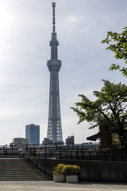 Tokyo, Japonya - 11 Mayıs 2024: Tokyo Skytree, Tokyo, Japonya 'da bir yayın ve gözlem kulesi. 2010 yılında Japonya 'daki en yüksek yapı oldu.