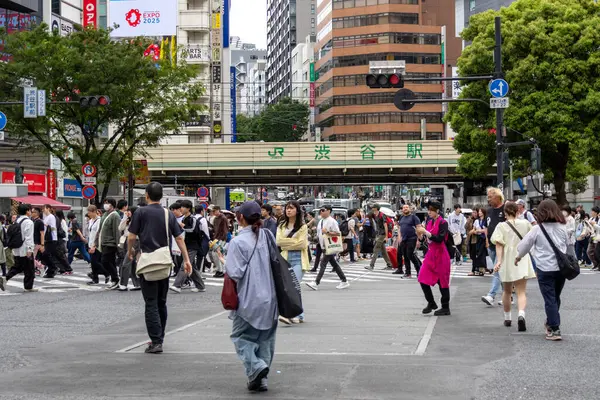 Tokyo, Japonya - 12 Mayıs 2024: İnsanlar Shibuya, Tokyo 'da işlek kavşağı geçiyor. Burası dünyanın en işlek kavşaklarından biri..