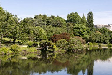 Tokyo, Japonya - 17 Mayıs 2024: Tokyo 'daki Shinjuku Gyoen Ulusal Bahçesi. Kiraz çiçeklerinin tadını çıkarmak için popüler bir park olarak bilinir..