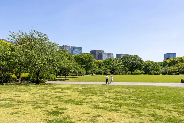 Tokyo, Japonya - 11 Mayıs 2024: Doğu Bahçeleri İmparatorluk Sarayı 'nın arka planında modern şehir manzaralı yeşil ağaçlar. Tokyo mu? Tokyo Japonya 'da halka açık bir park.