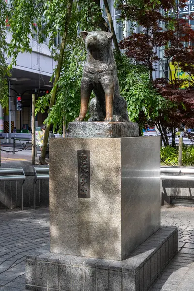 Tokyo, Japonya - 12 Mayıs 2024: Shibuya, Tokyo 'daki Hachiko Heykeli. Japonya 'nın en sadık köpeğini onurlandırmak için.