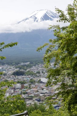 Baharda Japonya 'da Fuji Dağı ve Shimoyoshida' nın manzarası.