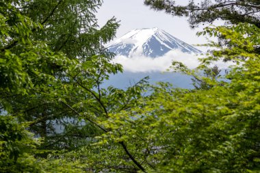Baharda Japonya 'da Fuji Dağı ve Shimoyoshida' nın manzarası.
