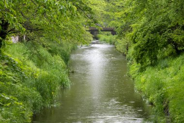 Oshino Hakkai, Fuji Beş Göl bölgesinde Kawaguchiko Gölü ile Yamanakako Gölü arasında yer alan küçük bir köy..