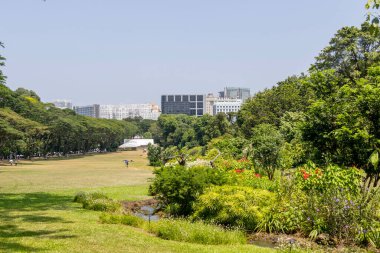 Singapur - 28 Temmuz 2024 Singapur 'da Istana' da çimenlik ve kuğu bahçesi. Saray resmi tatillerde halka açıktır.
