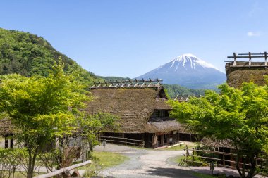 Kawaguchiko, Japonya- 16 Mayıs 2024: Saiko Iyashi no Sato Nenba veya Kawaguchiko, Japonya 'daki Geleneksel Japon Köyü. Burası Fuji Dağı 'na yakın eski çiftlik evlerini birleştirmek için güzel bir yer.