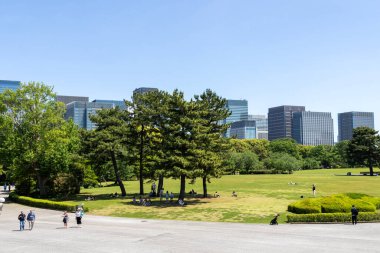 Tokyo, Japonya - 11 Mayıs 2024: Doğu Bahçeleri İmparatorluk Sarayı 'nın arka planında modern şehir manzaralı yeşil ağaçlar. Tokyo mu? Tokyo Japonya 'da halka açık bir park.