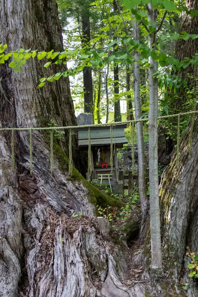 stock image Shimoyoshida, Japan- 15 May 2024: Fujisan Simomiya Omuro Sengen Jinja in Shimoyoshida, Japan. The main shrine becoming the Japanese important cultural property is Mt.Fuji oldest shrine built in 699 years