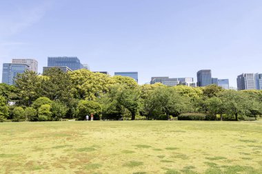 Tokyo, Japonya - 11 Mayıs 2024: Doğu Bahçeleri İmparatorluk Sarayı 'nın arka planında modern şehir manzaralı yeşil ağaçlar. Tokyo mu? Tokyo Japonya 'da halka açık bir park.