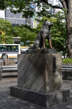 Tokyo, Japonya - 12 Mayıs 2024: Shibuya, Tokyo 'daki Hachiko Heykeli. Japonya 'nın en sadık köpeğini onurlandırmak için.