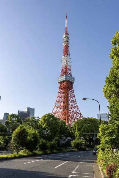 Tokyo, Japonya - 11 Mayıs 2024: Mavi gökyüzü ile Tokyo Kulesi manzarası. 332.9 metresiyle Tokyo Skytree 'nin inşasına kadar Japonya' nın en yüksek kulesiydi.