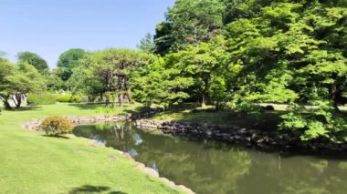 Tokyo, Japonya - 17 Mayıs 2024: Tokyo 'daki Shinjuku Gyoen Ulusal Bahçesi. Kiraz çiçeklerinin tadını çıkarmak için popüler bir park olarak bilinir..