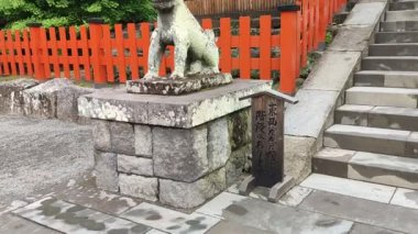 Kamakura, Japonya- 14 Mayıs 2024: Taş yontulmuş ungyo (Ağız kapalı) Komainu Lion-dog gardiyanı Tsurugaoka Hachimangu Shinto, Kamaruka, Japonya.