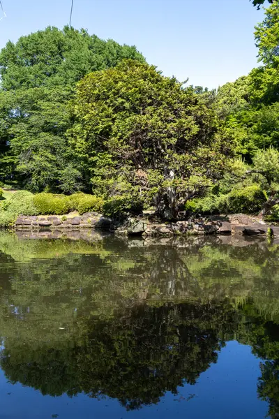 Tokyo 'daki Shinjuku Gyoen Ulusal Bahçesi. Kiraz çiçeklerinin tadını çıkarmak için popüler bir park olarak bilinir..