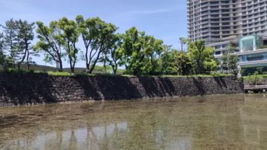 Tokyo, Japonya-11 Mayıs 2024: Tokyo İmparatorluğu sarayının önündeki bahçe.