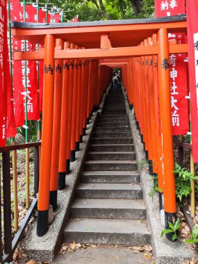 Tokyo, Japonya - 12 Mayıs 2024 Hie Shrine, Tokyo 'da etkileyici bir kırmızı torii kapısı tüneli. Tokyo 'daki Hie-jinja Tapınağı geleneksel Japon Shinto dininin tapınağıdır.