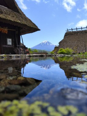 Kawaguchiko, Japan- 16 May, 2024: Saiko Iyashi no Sato Nenba or Traditional Japanese Village in Kawaguchiko, Japan. This is a beautiful place to assemble ancient farm houses close to Mount Fuji clipart