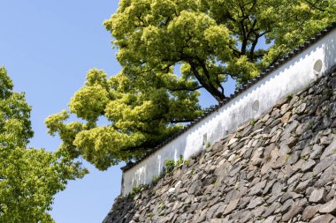 Okayama, Japonya - 10 Mayıs 2024 Japonya 'daki Okayama Kalesi' nin etrafındaki taş duvar. Bu da Edo Dönemi 'nin en büyük şatolarından biriydi ama ne yazık ki 1945' teki hava saldırılarında yok edildi.