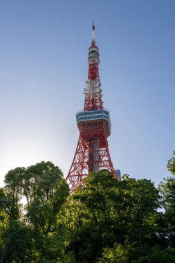 Tokyo, Japonya - 11 Mayıs 2024: Shiba Park civarından Tokyo Kulesi manzarası. Japonya. Bu bir iletişim ve gözlem kulesi. 