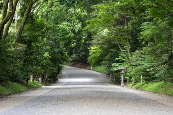 stock image Tokyo, Japan-12 May 2024: Pathway leading to the Meiji Shrine (Meiji Jingu), Tokyo. The Shinto shrines with the vast land of the forest, located in the middle of the Tokyo