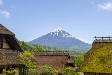 Kawaguchiko, Japan- 16 May, 2024: Saiko Iyashi no Sato Nenba or Traditional Japanese Village in Kawaguchiko, Japan. This is a beautiful place to assemble ancient farm houses close to Mount Fuji clipart