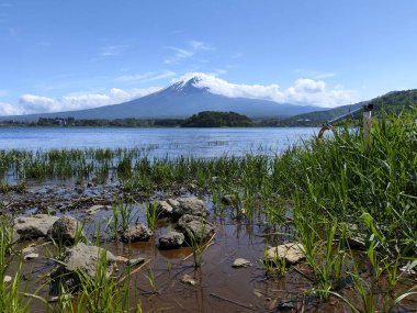 Fuji Dağı ve Kawaguchiko Gölü, Japonya 'nın Yamanashi mükemmeliyeti, Kawaguchiko' daki Oishi Park manzaralı..