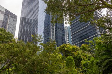 Singapur - 4 Ekim 2024: Önünde ağaçlar olan modern ofis binaları. 